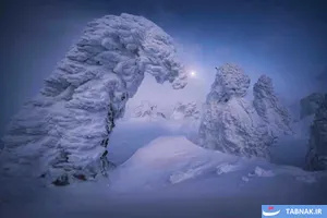 برندگان رقابت عکاسی منظره