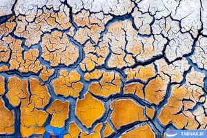 برندگان رقابت عکاسی منظره