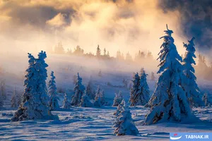 برندگان رقابت عکاسی منظره