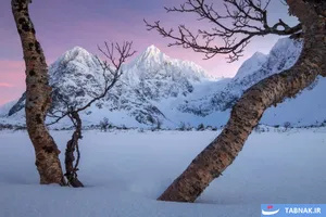 برندگان رقابت عکاسی منظره