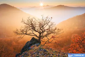 برندگان رقابت عکاسی منظره
