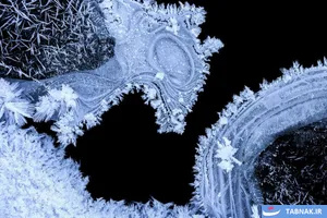 برندگان رقابت عکاسی منظره