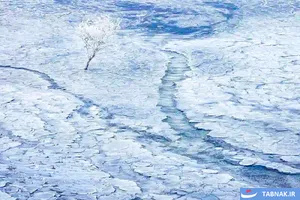 برندگان رقابت عکاسی منظره