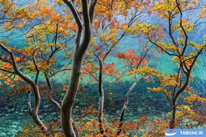 برندگان رقابت عکاسی منظره