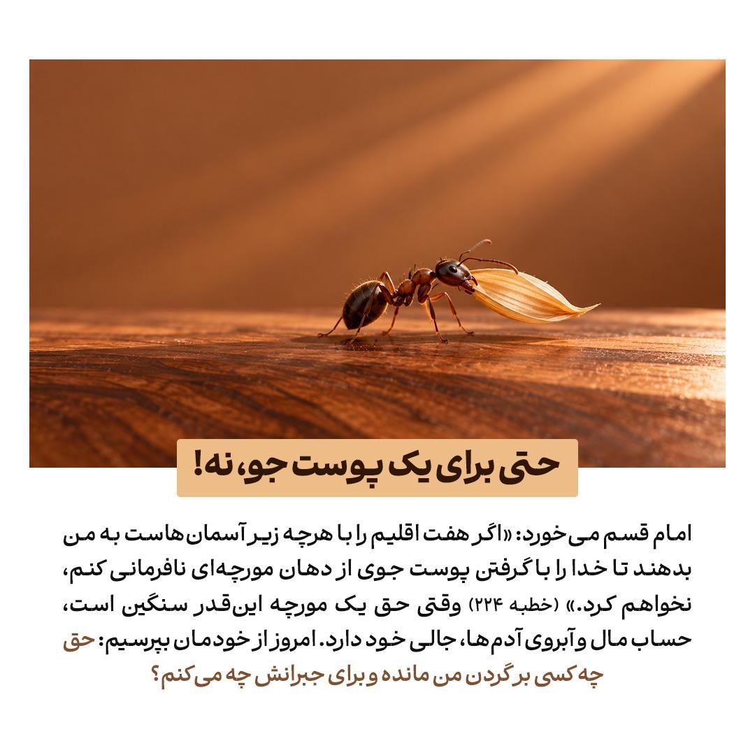 حقالناس در سیره امیرالمؤمنین علیهالسلام