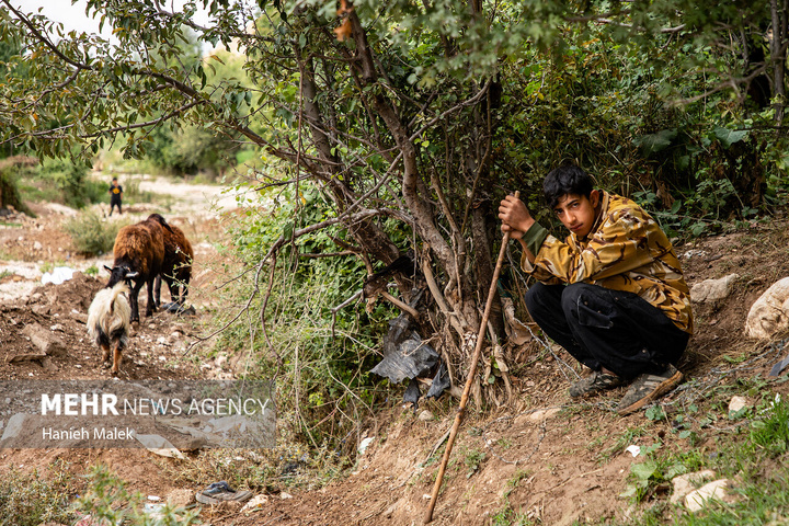 زندگی در روستای نراب