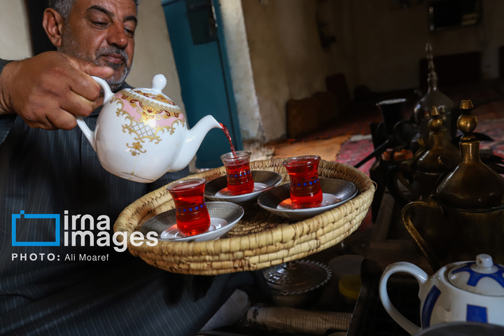 برداشت چای قرمز در روستای علوه