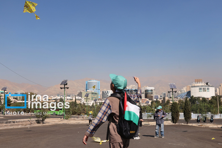 پرواز بادبادک ها