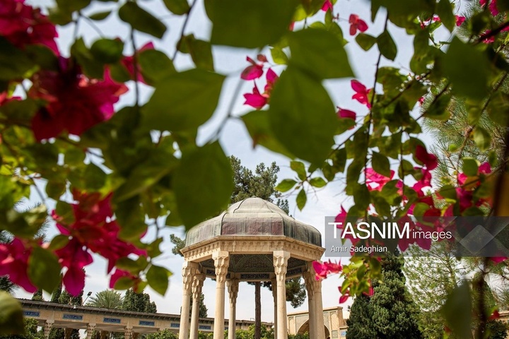 آیین گلباران آرامگاه حافظ شیرازی