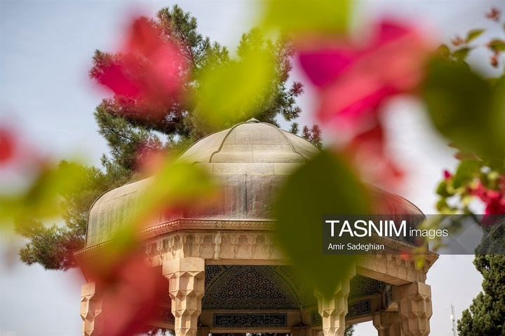 آیین گلباران آرامگاه حافظ شیرازی
