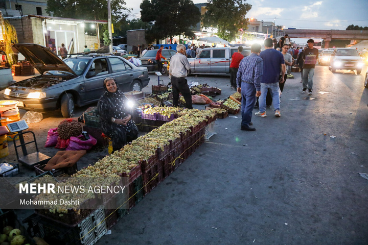 فصل انگور در دامنه سبلان