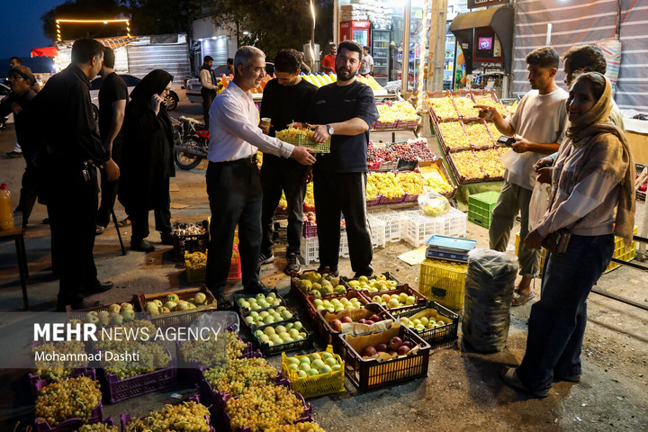 فصل انگور در دامنه سبلان