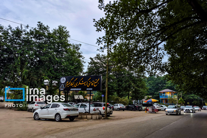 جنگل «گیسوم» نگین سبز غرب گیلان