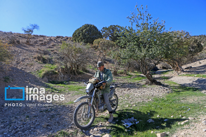 حافظان طبیعت