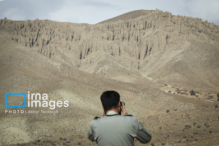 پناهگاه حیات‌وحش «کاوده»