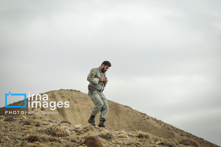 پناهگاه حیات‌وحش «کاوده»