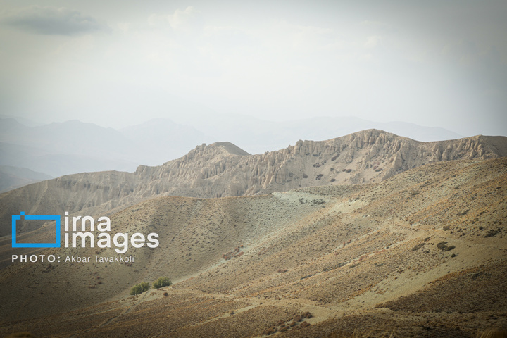 پناهگاه حیات‌وحش «کاوده»