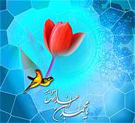 نور محمدی