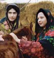 سالاد فصل و باران مهمان سینما