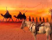 آموخته اين راز به من استادم