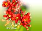ويژه نامه نوروز سال 88 – نوروز و هفت سین