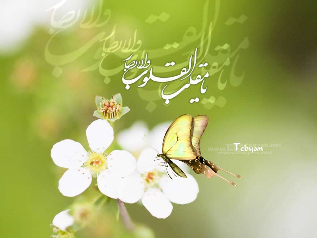 ويژه نامه نوروز سال 88 – گل و نوروز