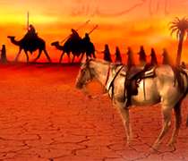 آدم، سلیمان، نوح و کربلا