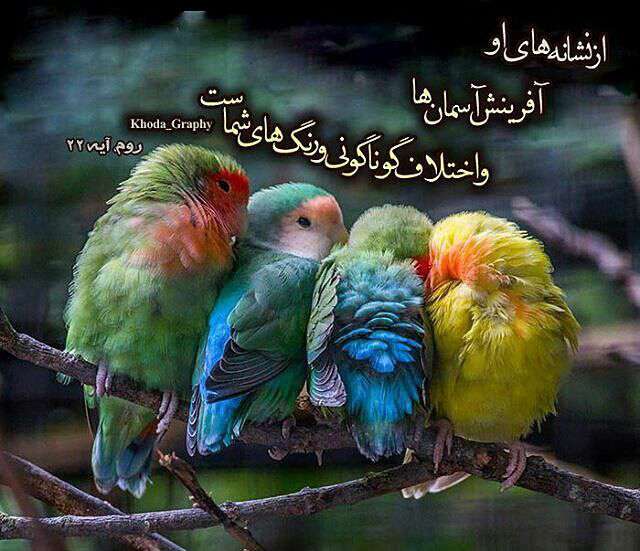 نشانه های عظمت و آفریدگاری نشانه های عظمت و آفریدگاری