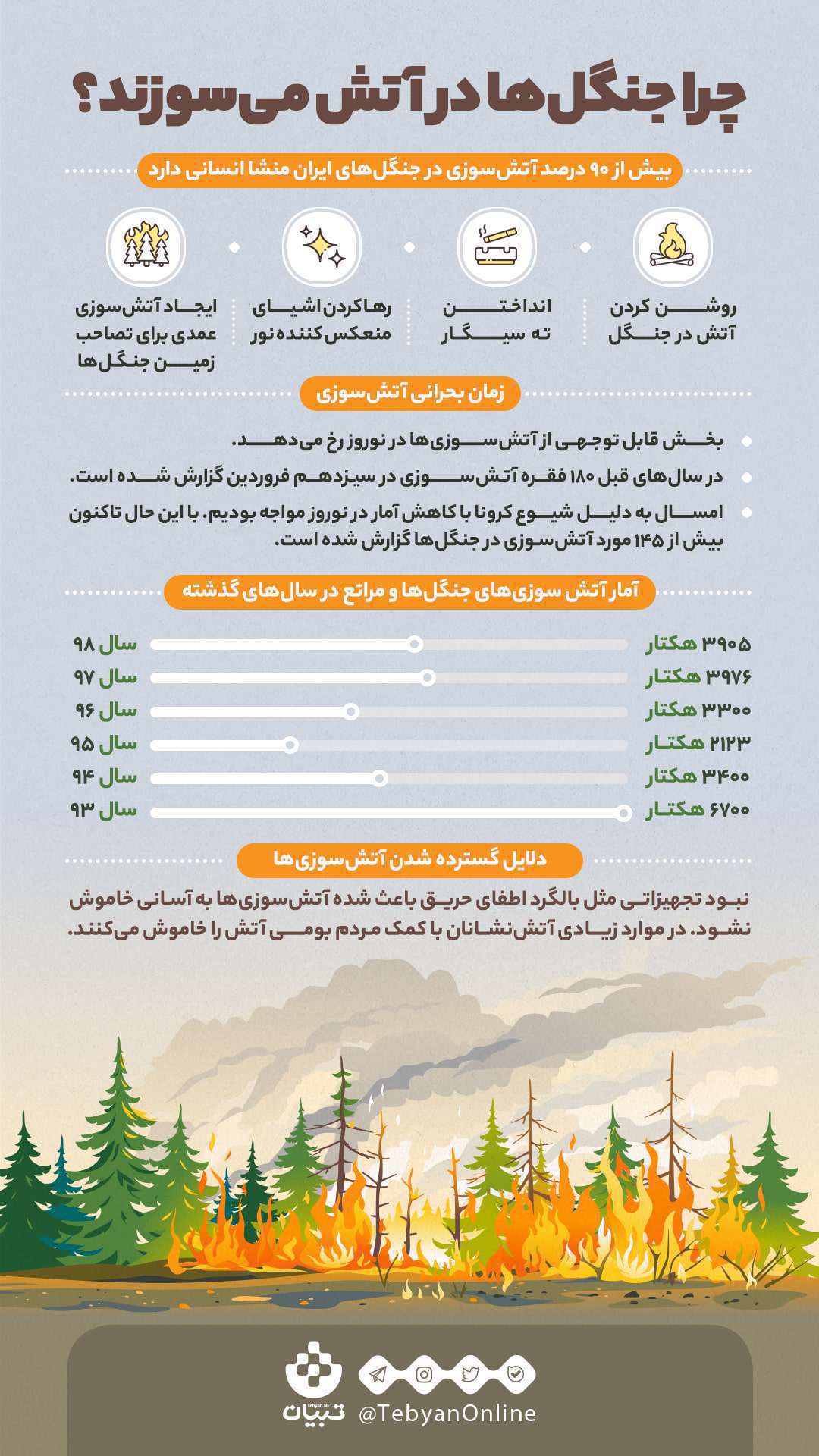 اینفوگرافیک|  چرا جنگل‌ها در آتش می‌سوزند؟