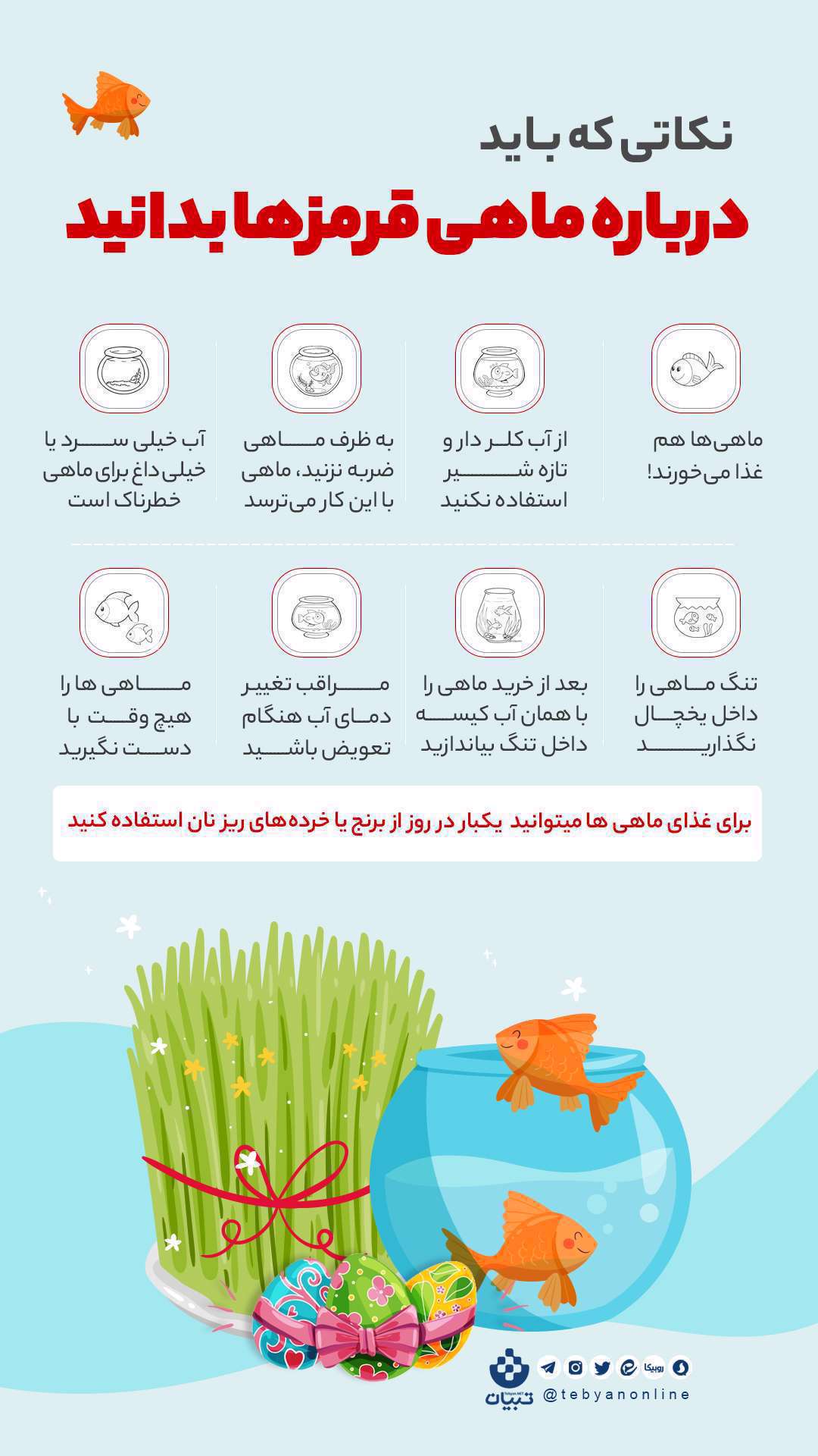 نکات مهم برای نگهداری و افزایش طول عمر ماهی قرمز هفت سین