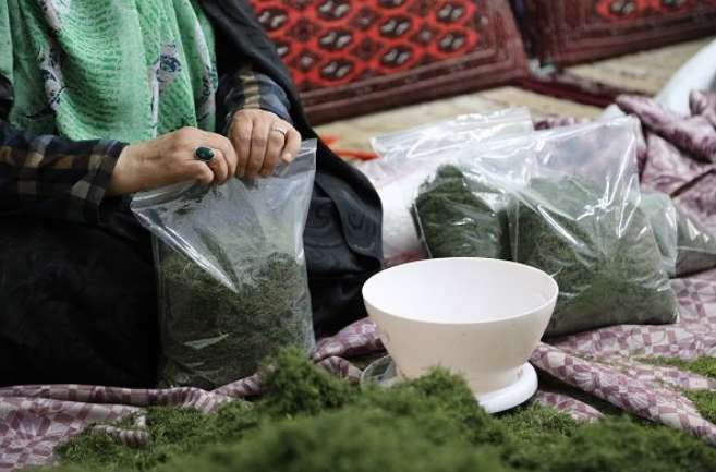 چگونه به‌عنوان یک زن خانه‌دار کسب درآمد کنیم؟