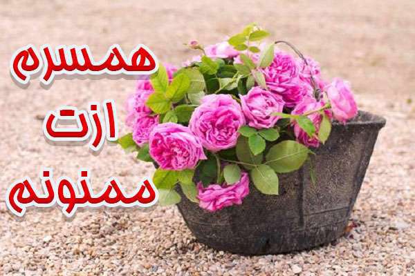 متن های کوتاه برای تشکر ازهمسر