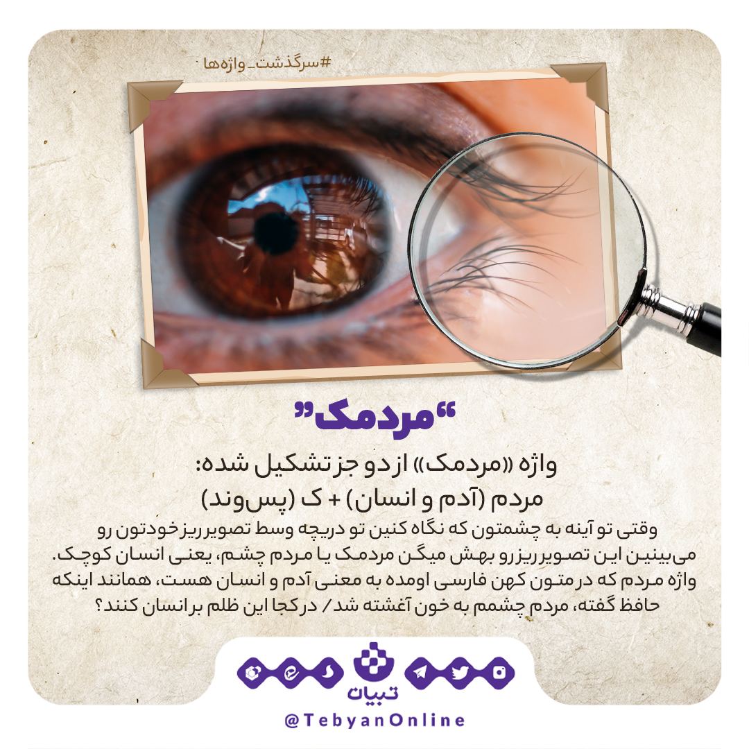 سرگذشت واژه‌ «مردمک» چیست؟