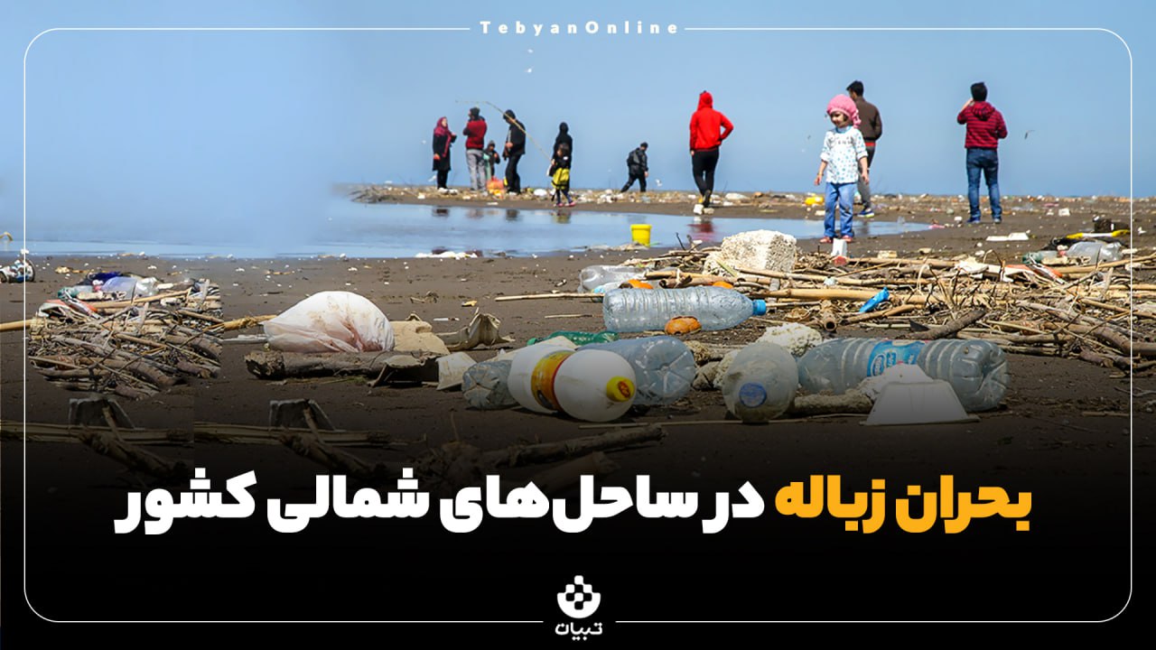 بحران زباله در ساحلهای شمالی کشور بحران زباله در ساحلهای شمالی کشور