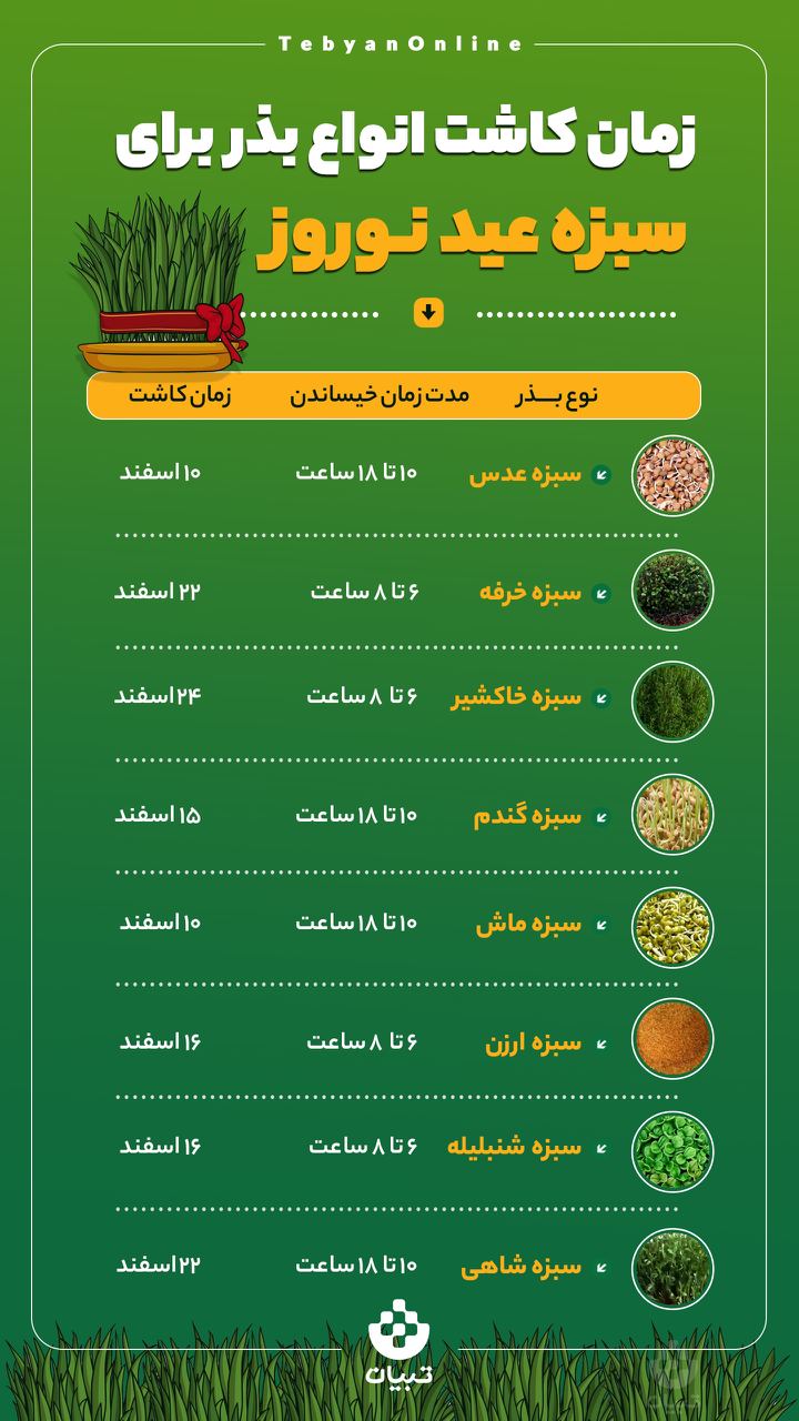 چه زمانی برای کاشت سبزه عید نوروز مناسب است؟ چه زمانی برای کاشت سبزه عید نوروز مناسب است؟