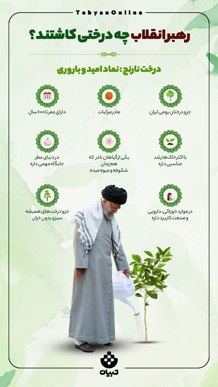 رهبر انقلاب چه درختی کاشتند؟