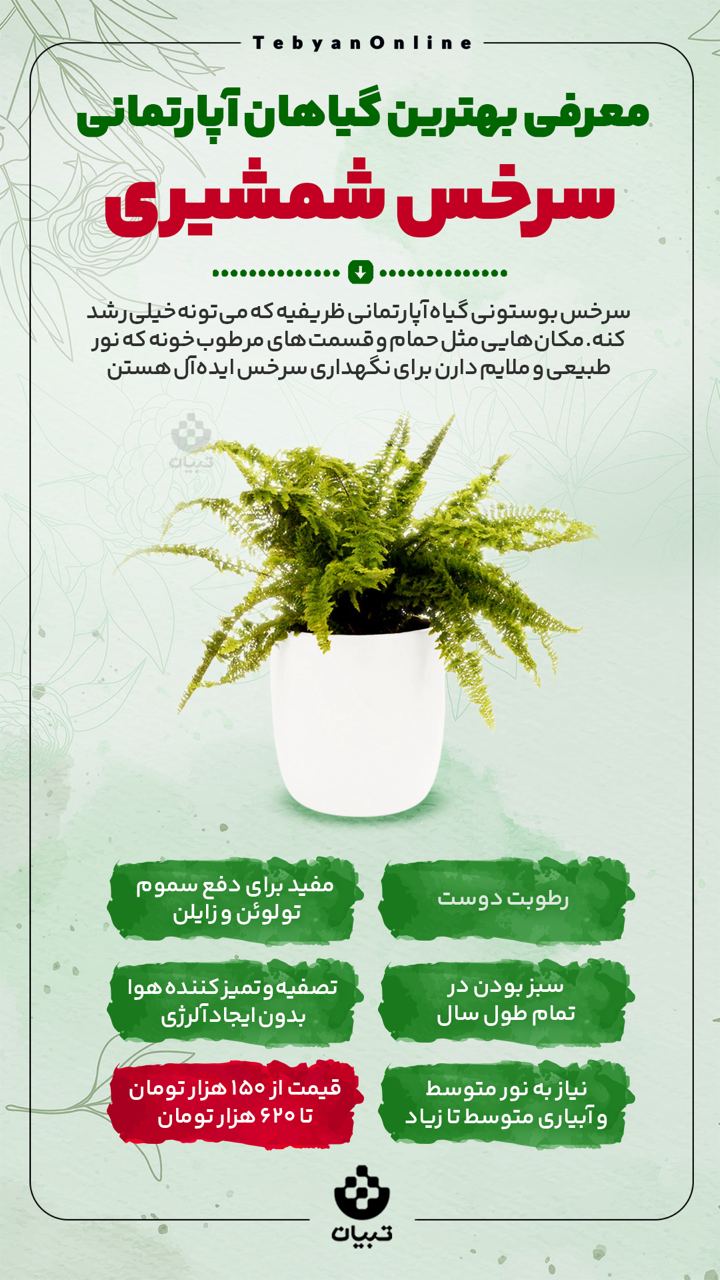 معرفی بهترین گیاهان آپارتمانی ؛ سرخس شمشیری
