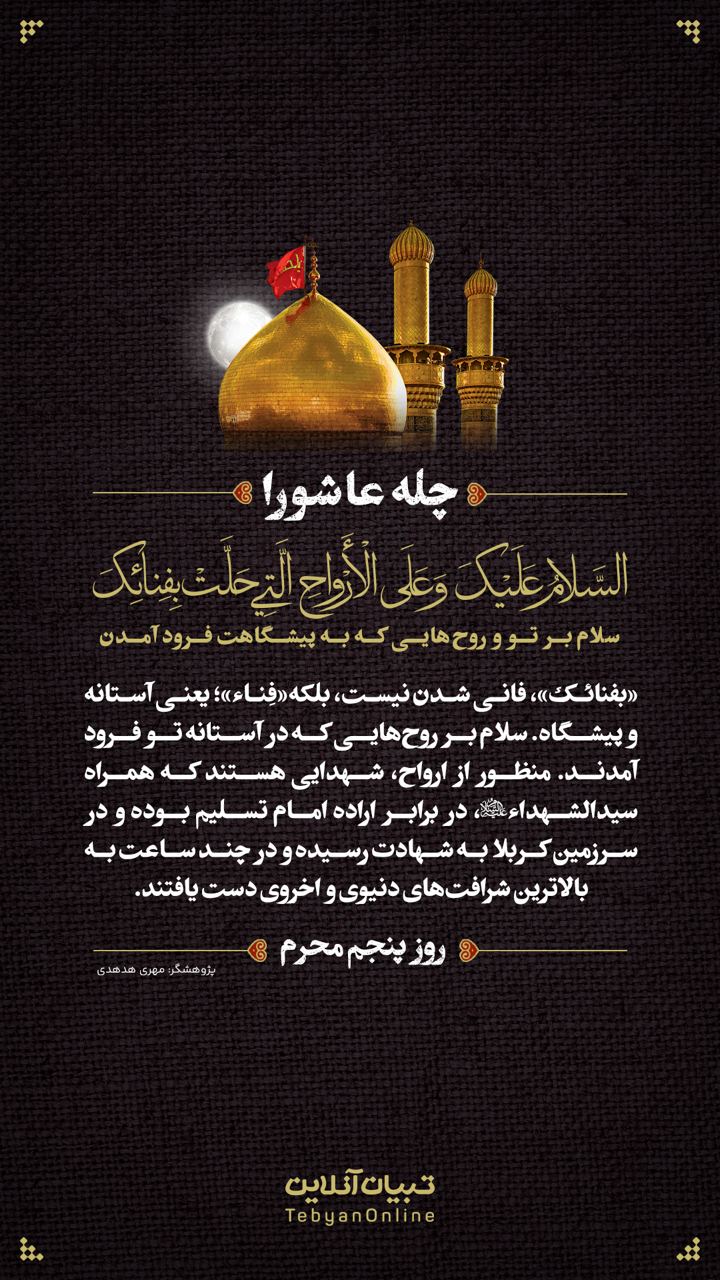 سلام بر تو و روح‌هایی که به پیشگاهت فرود آمدن (روز پنجم محرم)