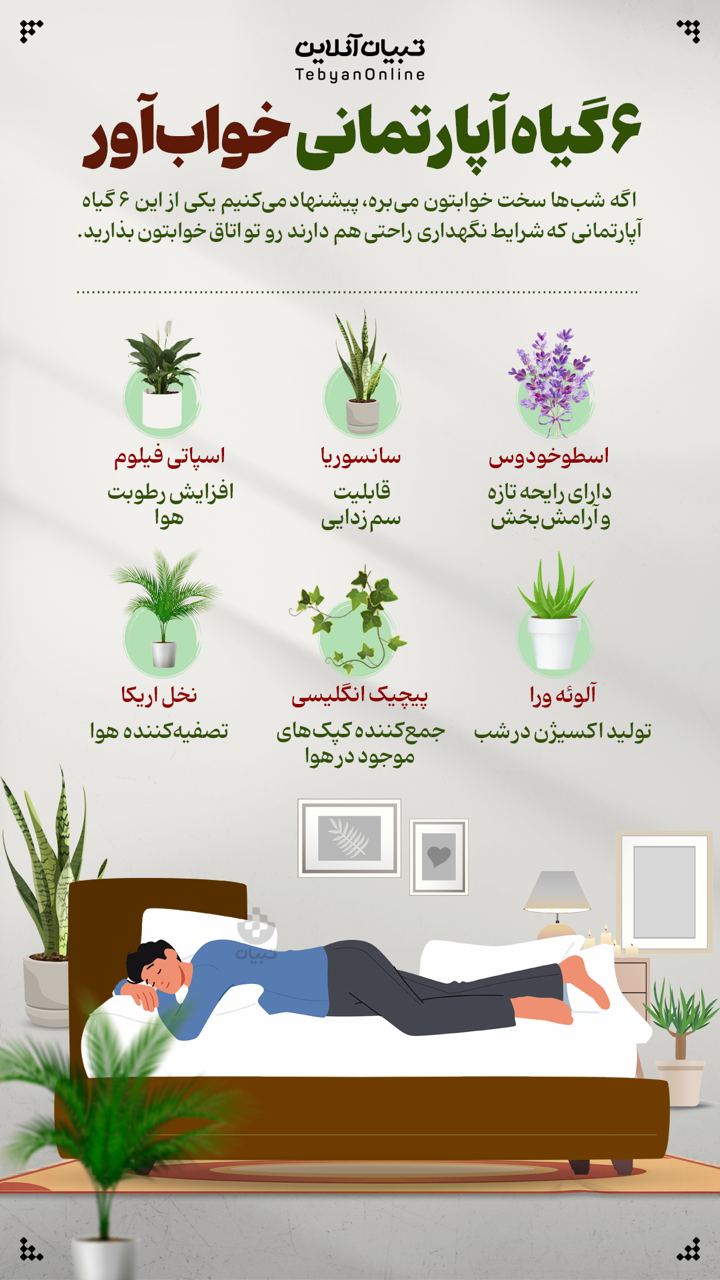 6 گیاه آپارتمانی خواب‌آور