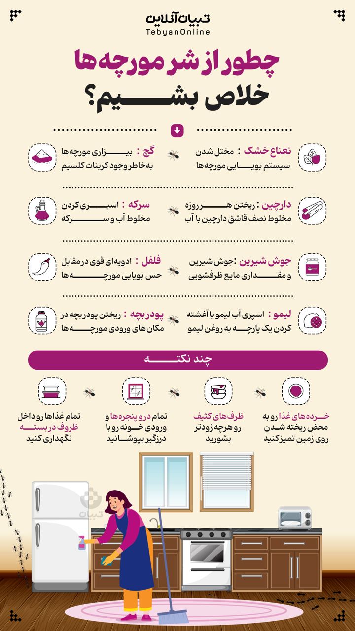 چطور از شر مورچه ها خلاص بشیم؟