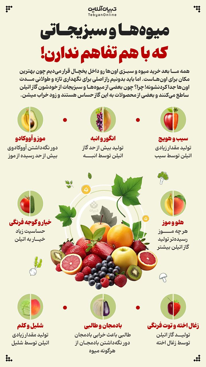 میوه ها و سبزیجاتی که با هم تفاهم ندارن! میوه ها و سبزیجاتی که با هم تفاهم ندارن!