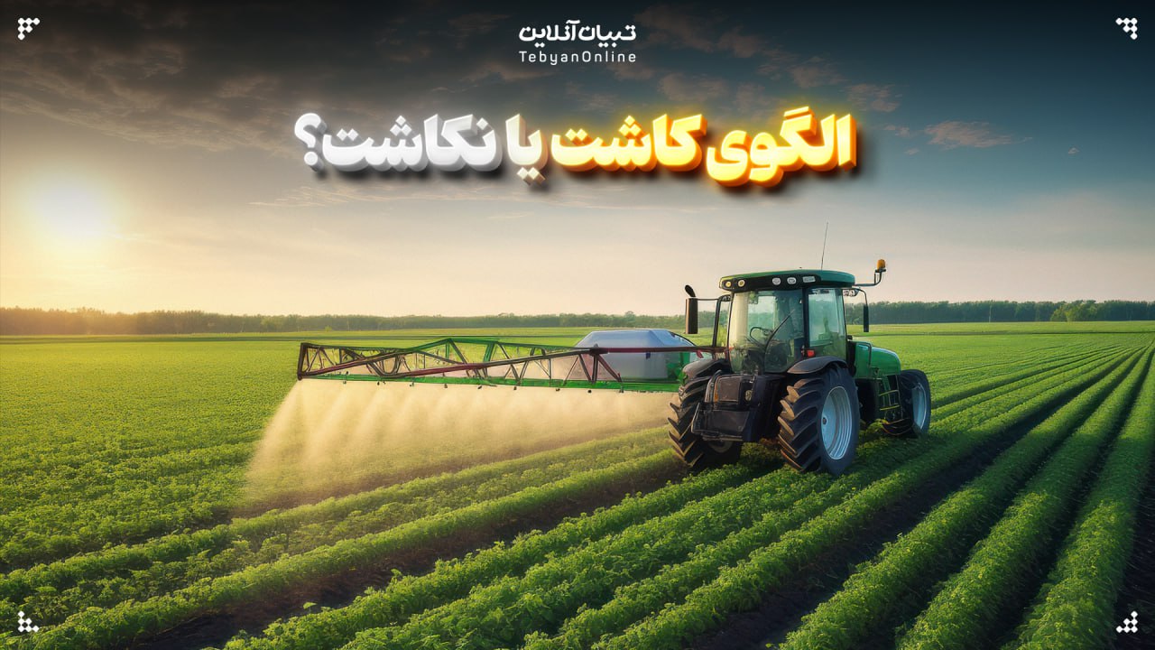 الگوی کاشت یا نکاشت؟