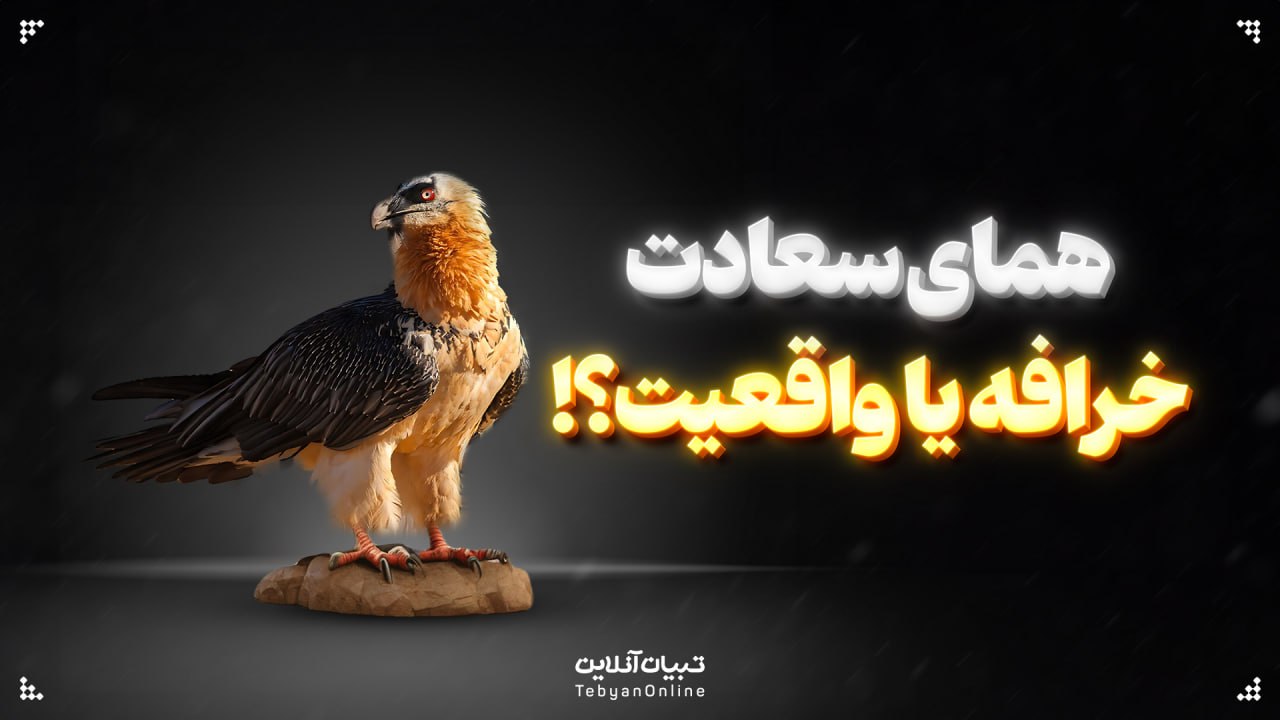 "همای سعادت" خرافه یا واقعیت!؟