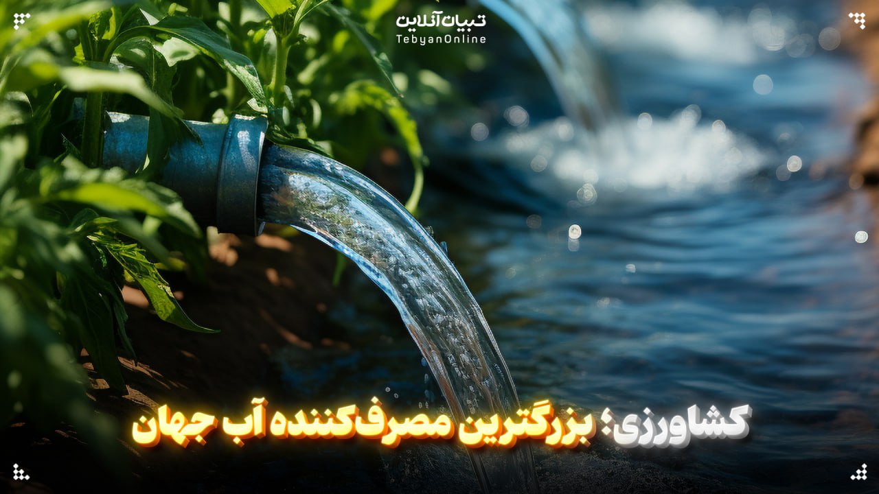 کشاورزی؛ بزرگترین مصرف‌کننده آب جهان