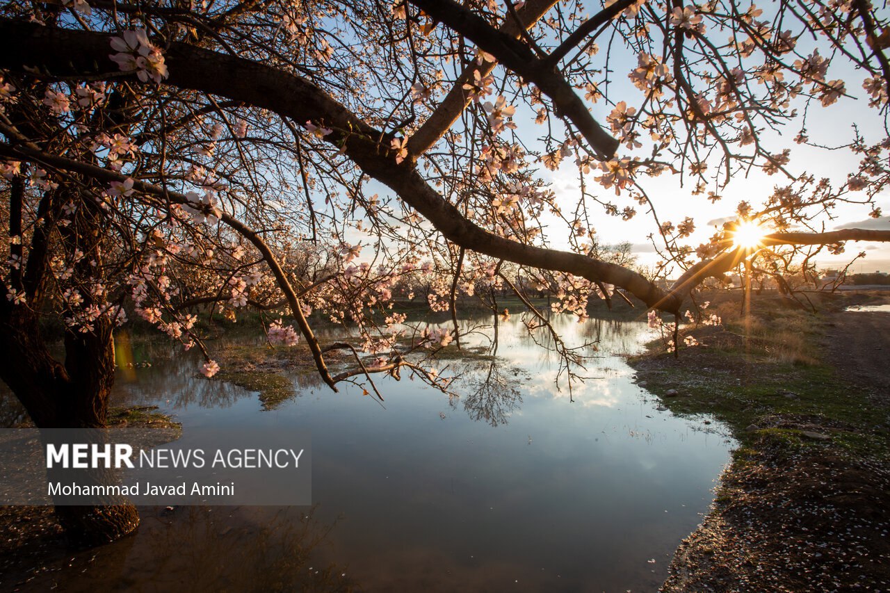 عکس‌های منتخب ایران و جهان