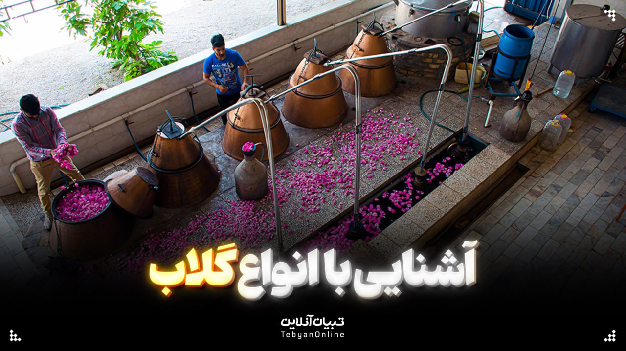 آشنایی با انواع گلاب