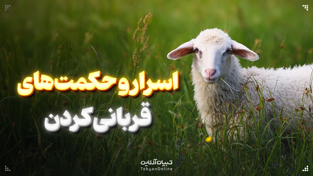 اسرار و حکمت‌های قربانی کردن