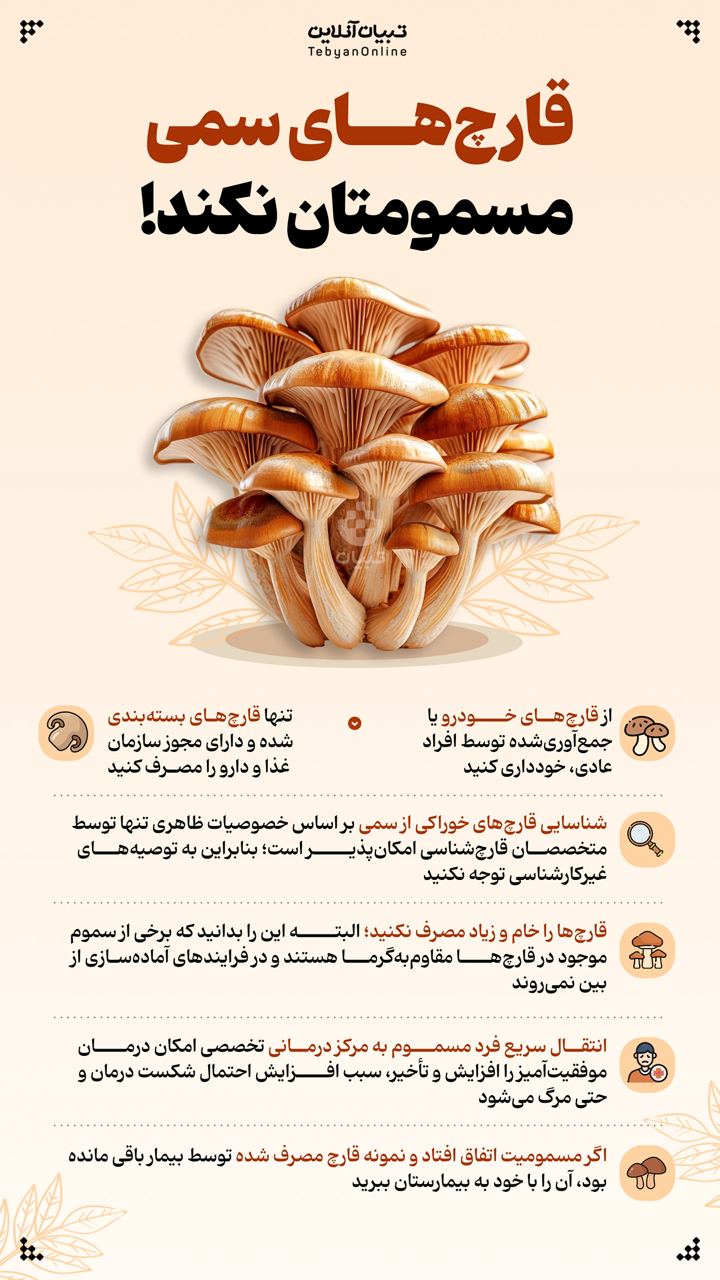 قارچ‌های سمی مسمومتان نکند!