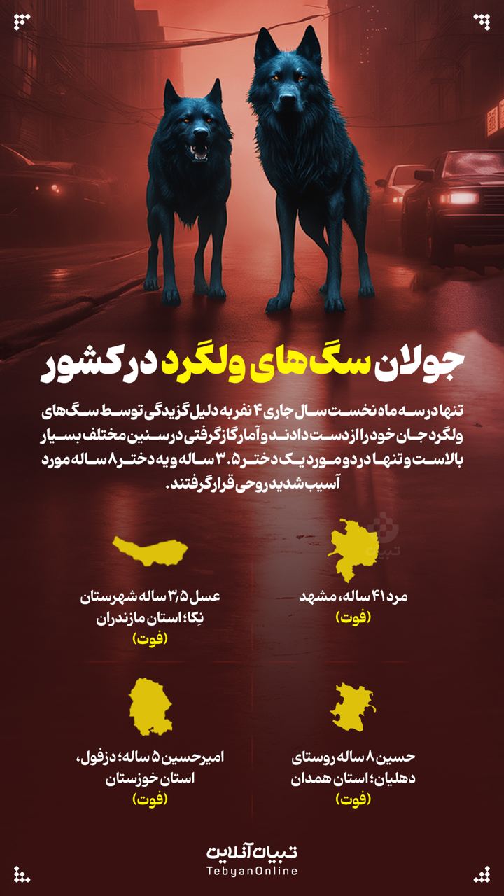 جولان سگ‌های ولگرد در کشور