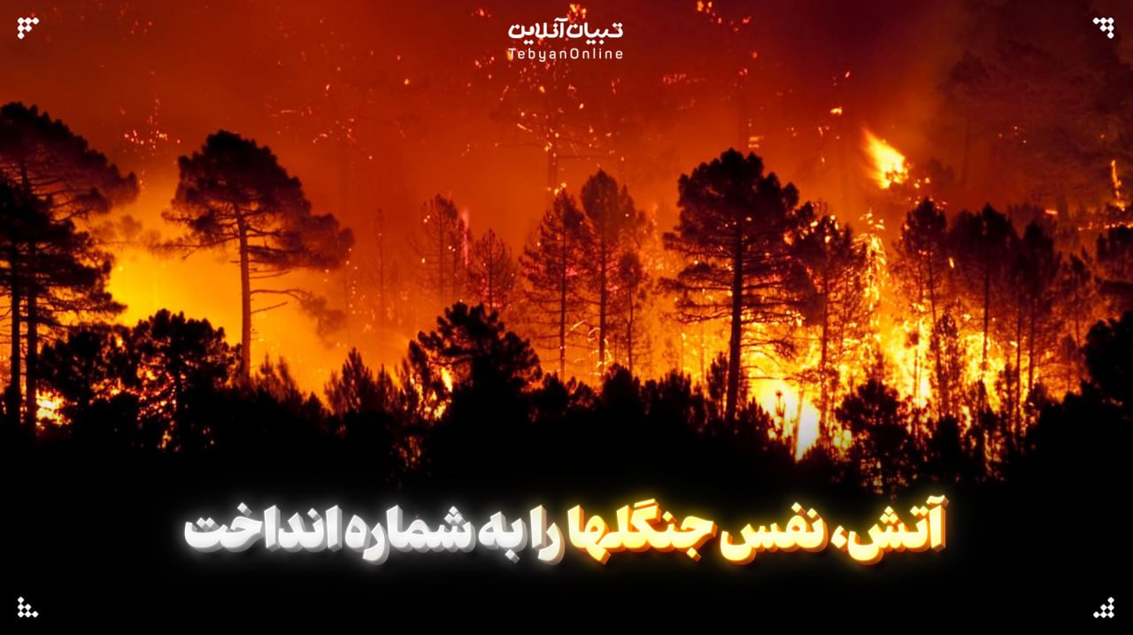 آتش، نفس جنگلها را به شماره انداخت